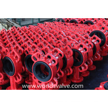 Ductile Iron Butterfly Valve Body